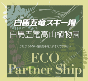 HakubaGoryu Eco Partnership