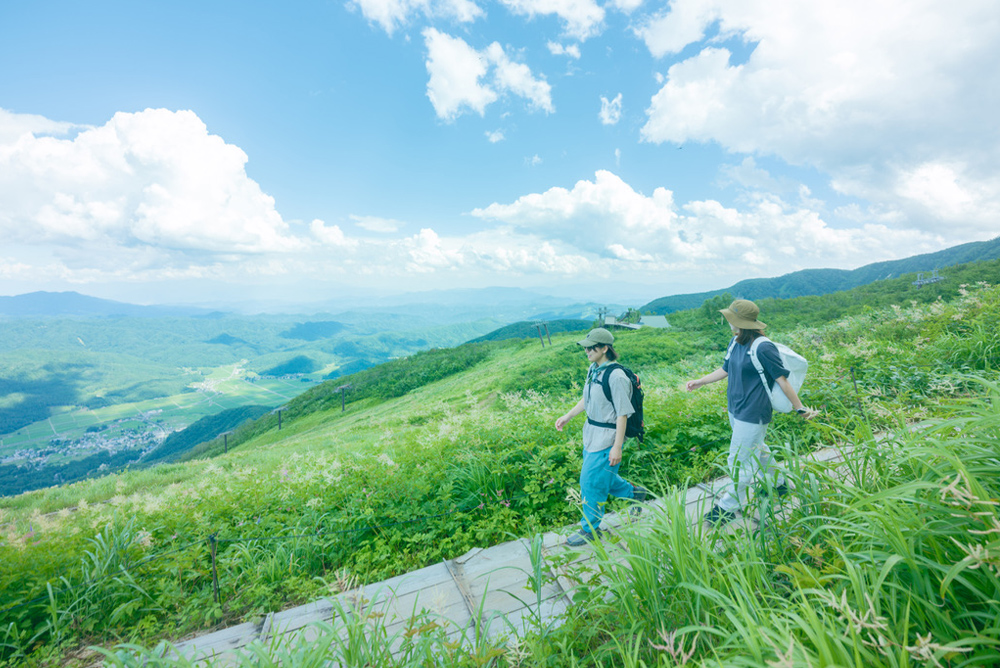 アルプス平自然遊歩道