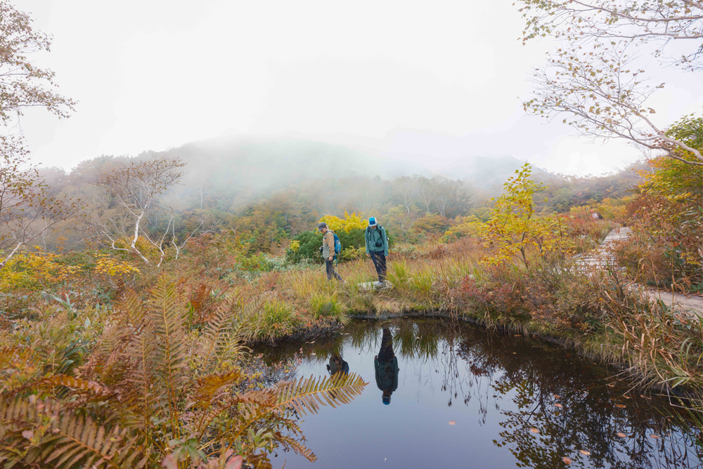 アルプス平自然遊歩道