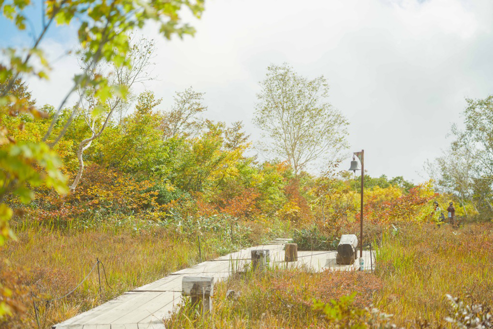 アルプス平自然遊歩道