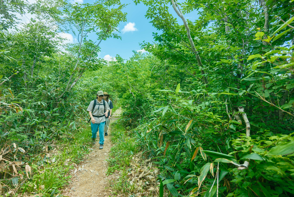 見返坂トレッキング