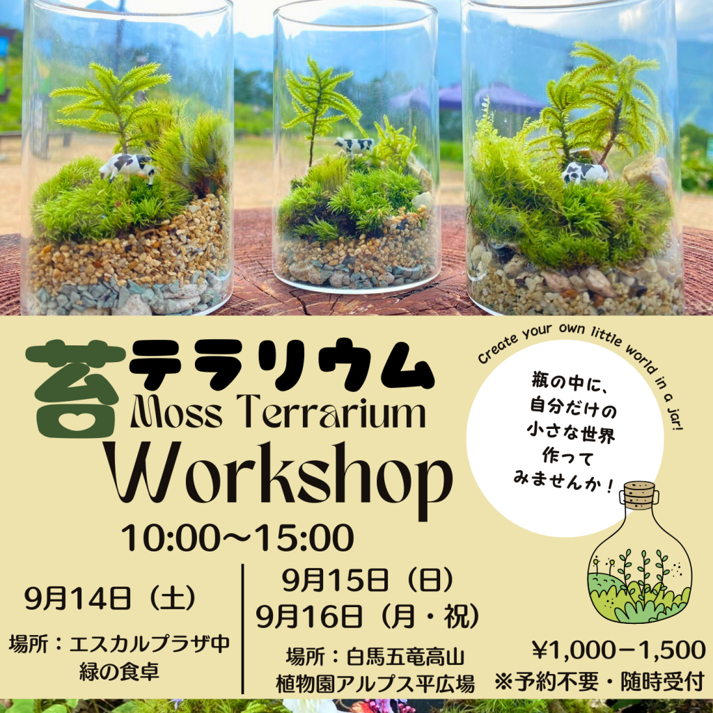 苔テラリウムワークショップ MOSS TERRARIUM WORKSHOP