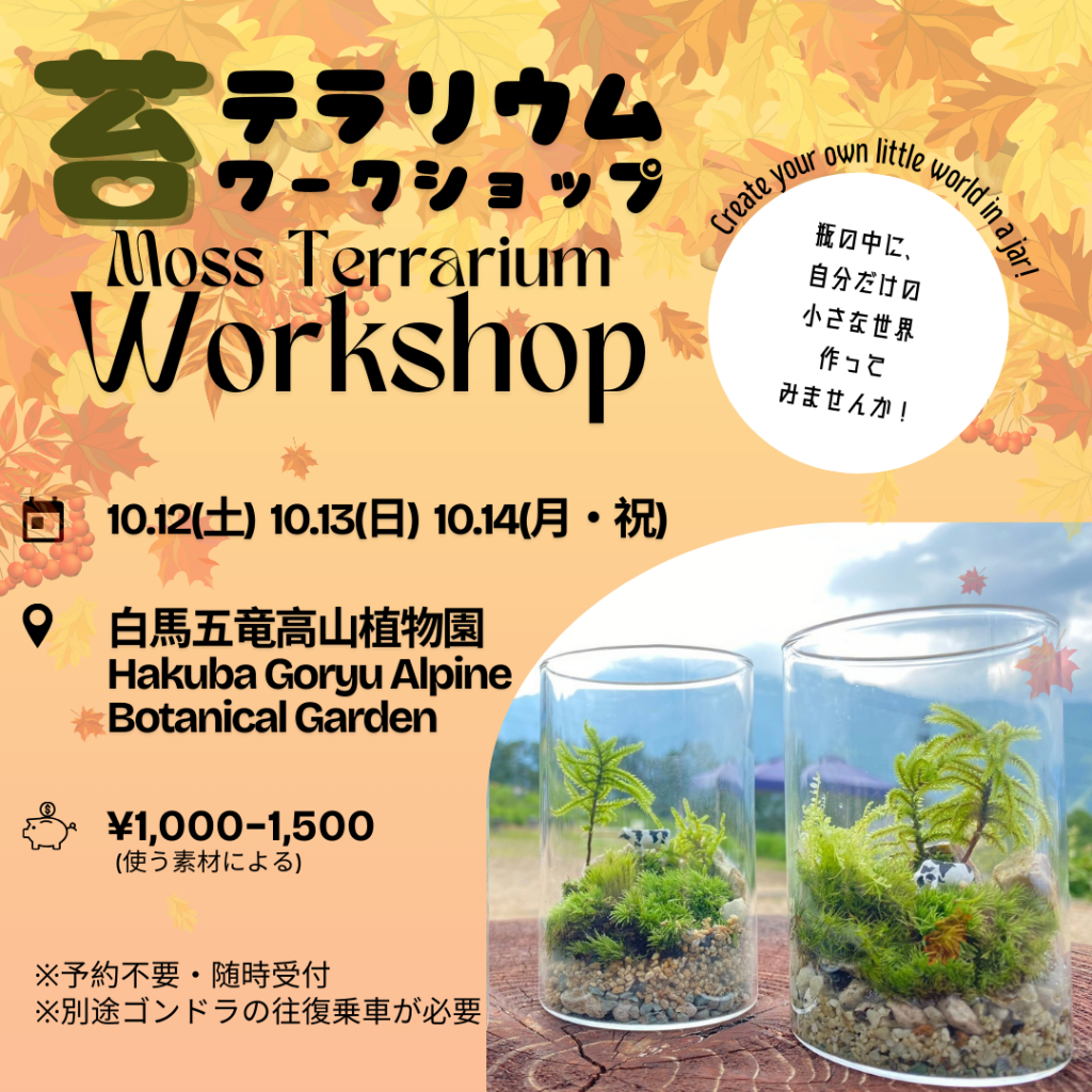 10月三連休苔テラリウムワークショップ October weekend MOSS TERRARIUM WORKSHOP