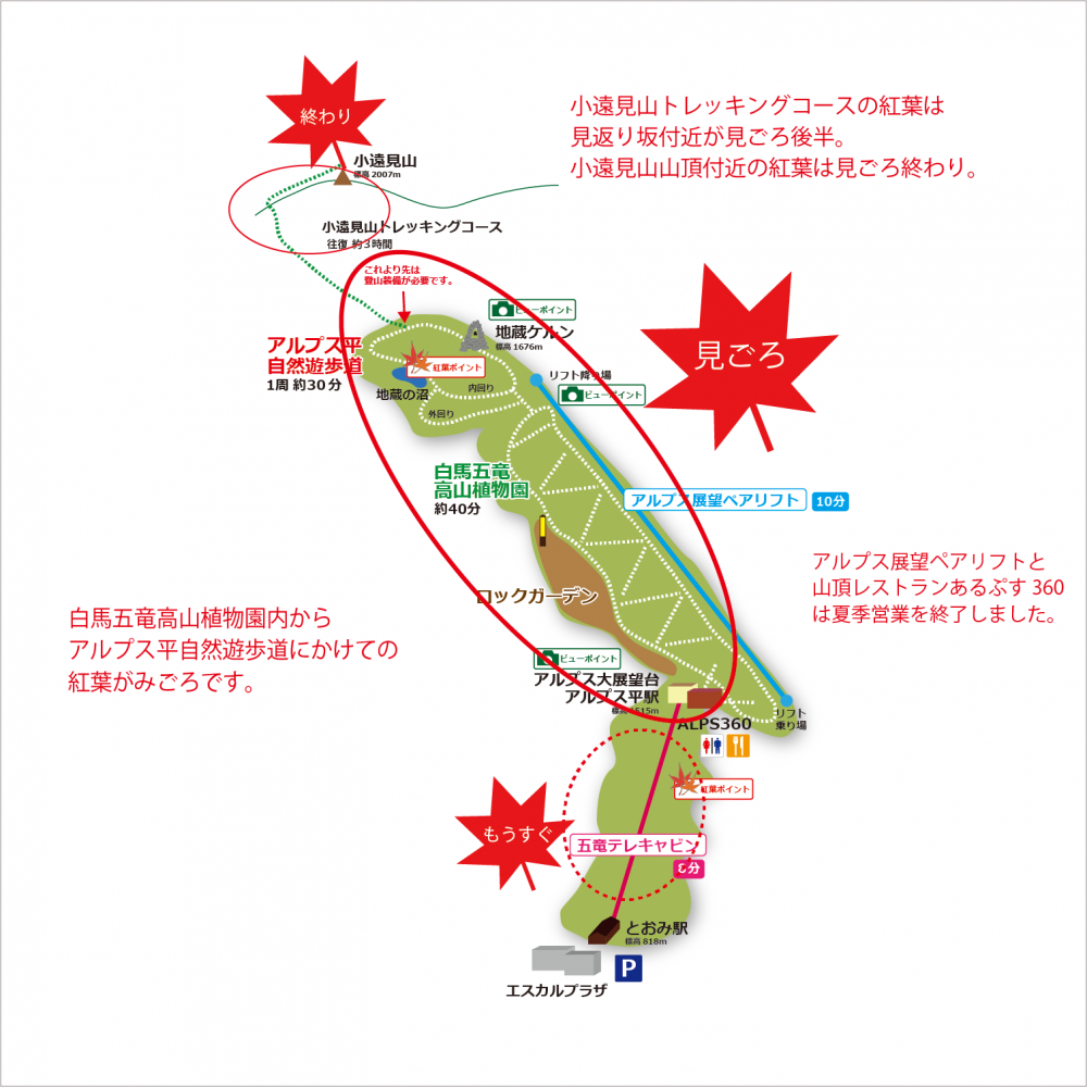 19年10月23日 紅葉情報号 19シーズン最終版 週刊花便り 花図鑑 白馬五竜高山植物園