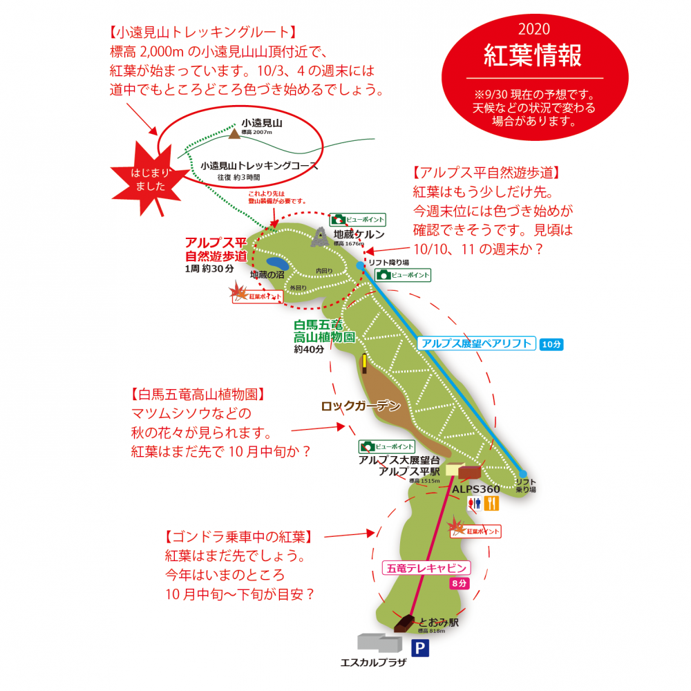 年9月30日 紅葉情報号 週刊花便り 花図鑑 白馬五竜高山植物園