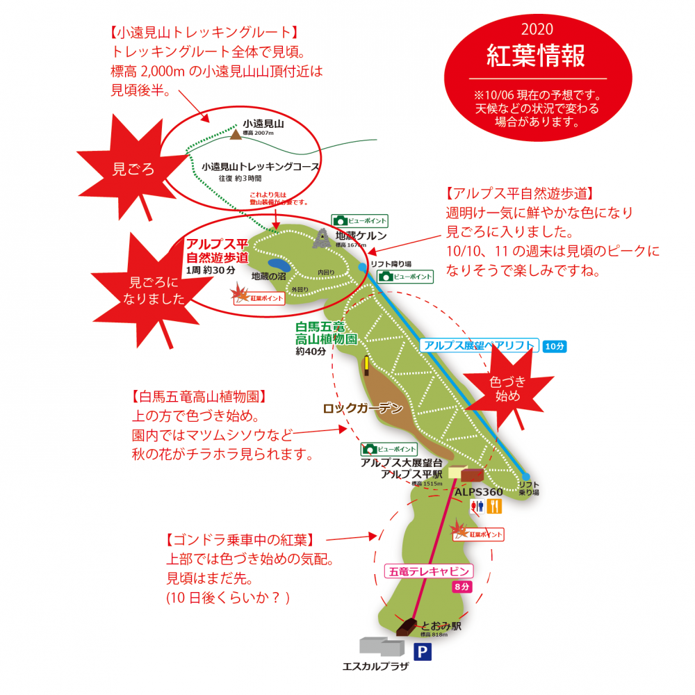 年10月7日 紅葉情報号 週刊花便り 花図鑑 白馬五竜高山植物園