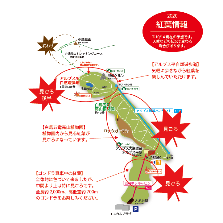 年10月14日 紅葉情報号 週刊花便り 花図鑑 白馬五竜高山植物園