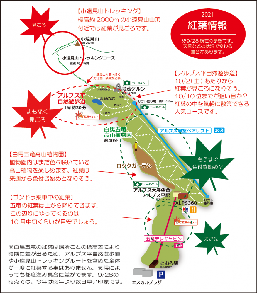 21年9月22日 紅葉情報号 週刊花便り 花図鑑 白馬五竜高山植物園