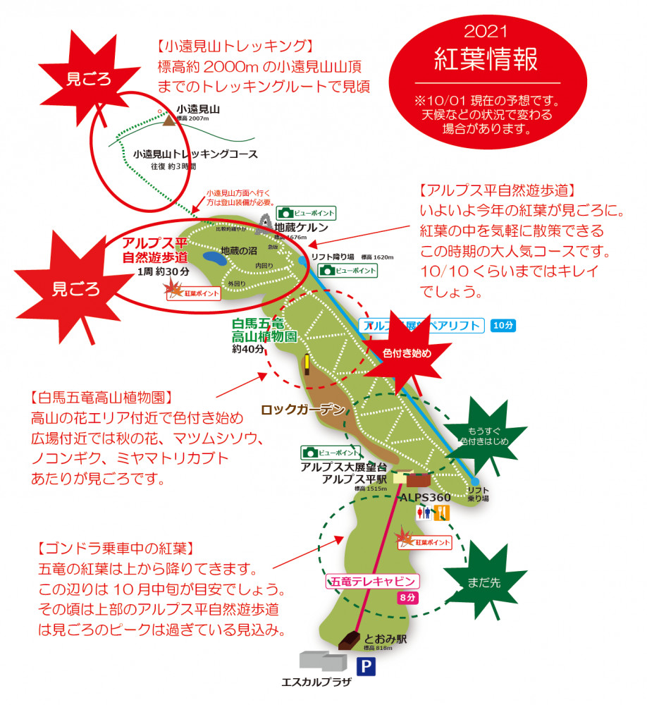 21年10月1日 紅葉情報号外 週刊花便り 花図鑑 白馬五竜高山植物園