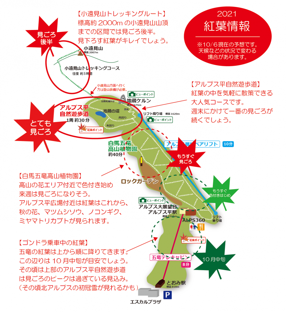 21年10月6日 紅葉情報号 週刊花便り 花図鑑 白馬五竜高山植物園