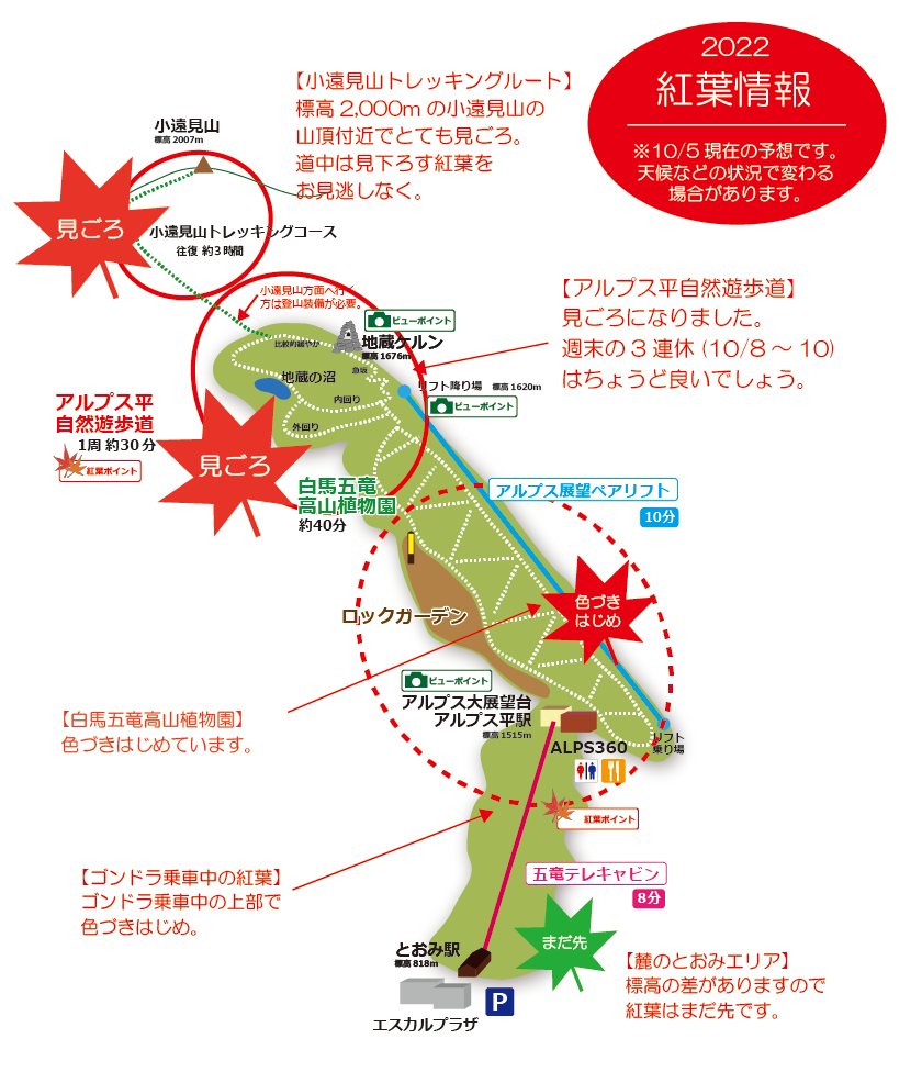 22年10月6日 紅葉情報号 週刊花便り 花図鑑 白馬五竜高山植物園