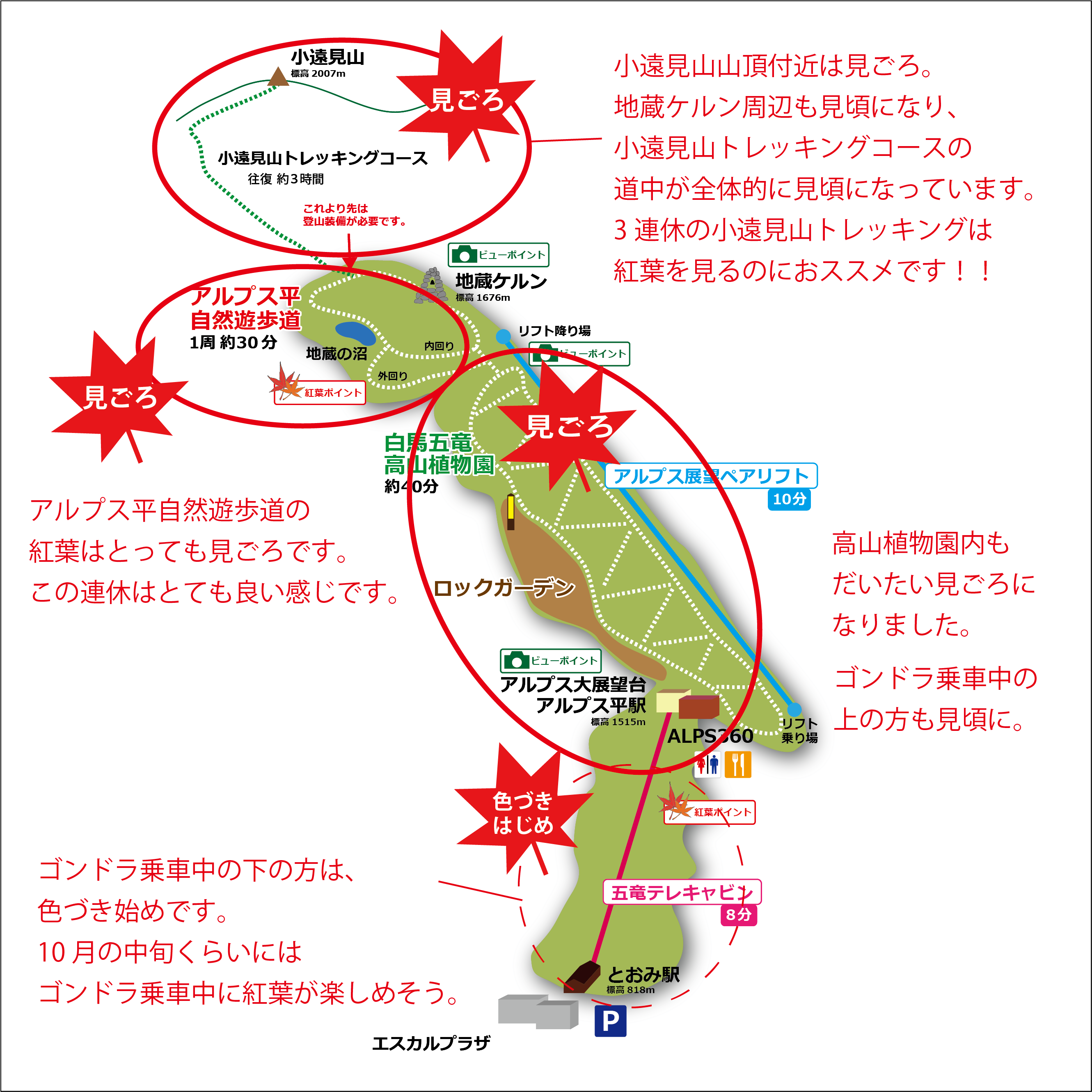 白馬五竜の紅葉情報 10 6 とても見ごろです お知らせ 最新情報 白馬五竜高山植物園