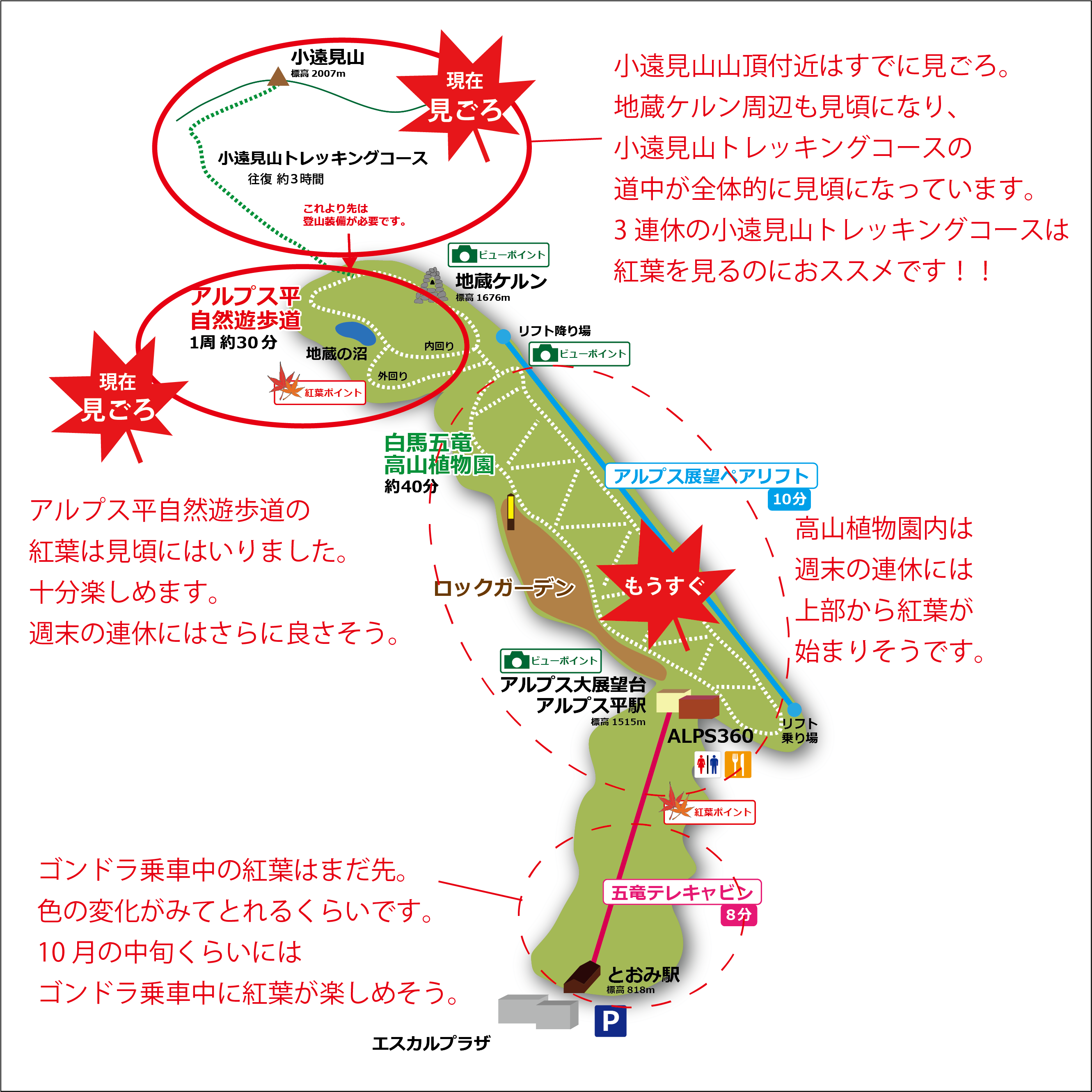 白馬五竜の紅葉情報 10 2 見ごろです お知らせ 最新情報 白馬五竜高山植物園